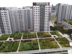 Blk 138D Lake Vista @ Yuan Ching (Jurong West), HDB 3 Rooms #444320771